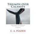 Triumph over Calamity: What Really Happened on the Carnival Triumph A Memoir