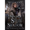 Prisoner of Steel and Shadow