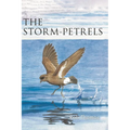 The Storm-Petrels