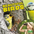 Beautiful Birds