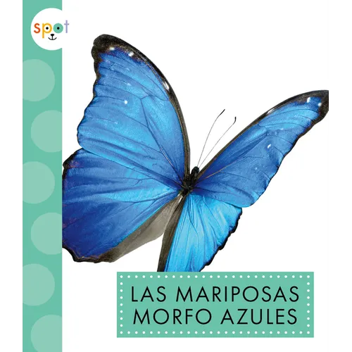Las Mariposas Morfo Azules