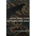 Night Wing Over Metropolitan Area
