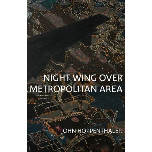 Night Wing Over Metropolitan Area