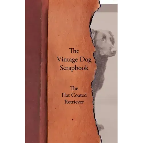 The Vintage Dog Scrapbook - The Flat Coated Retriever