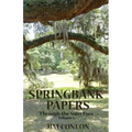 Springbank Papers: Through the Sun's Eyes