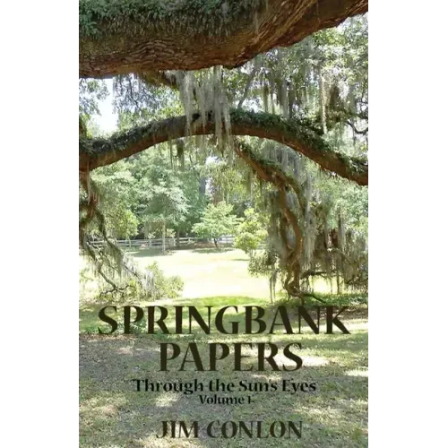 Springbank Papers: Through the Sun's Eyes