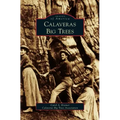 Calaveras Big Trees