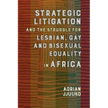Strategic Litigation and the Struggles of Lesbian, Gay and Bisexual Persons in Africa