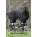 Curly Coated Retriever: Everything That You Need to Know About Curly Coated Retriever: How Well You Know ABout Curly Coated Retriever?