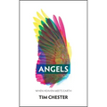 Angels: When Heaven Meets Earth