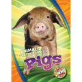 Pigs