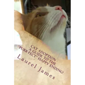 Cat Adoption - Your Guide to the "Purr-Fect" Happy Ending!