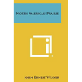North American Prairie