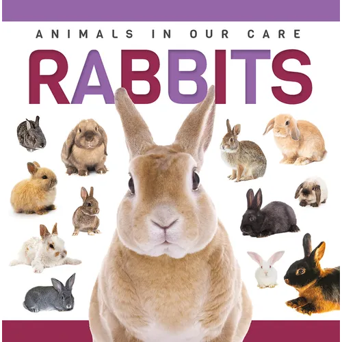 Rabbits