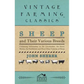 Sheep and Their Various Breeds - Containing Information on the Lincolnshire, the Saxon Merino, the Southdown and Many Other Varieties of Sheep