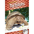 Tortoises