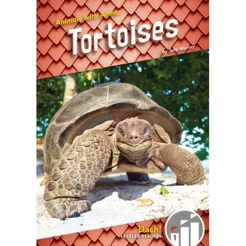 Tortoises