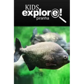 Piranha - Kids Explore: Animal books nonfiction - books ages 5-6