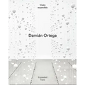Damián Ortega: Expanded View