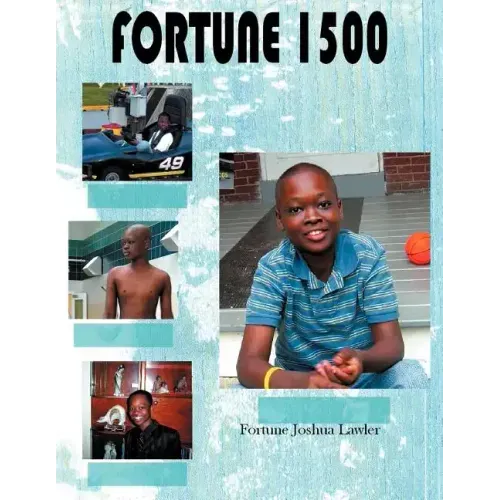 Fortune 1500: A Story in Pictures
