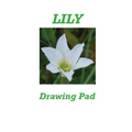 Lily Drawing Pad