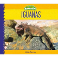Iguanas