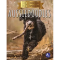 Aussiedoodles