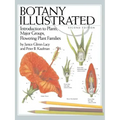 Botany Illustrated: Introduction to Plants, Major Groups, Flowering Plant Families