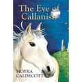 The Eye of Callanish