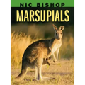 Nic Bishop: Marsupials