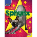 Sphynx