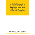 An illustrated synopsis of the principal larval forms of the order Coleoptera