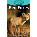 Red Foxes