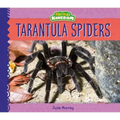 Tarantula Spiders