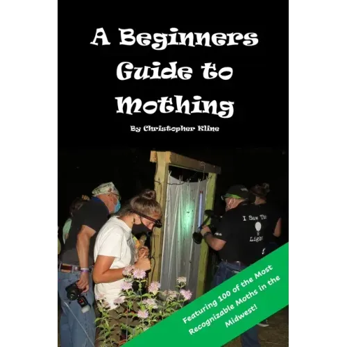 A Beginners Guide to Mothing