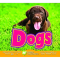 Dogs