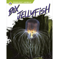Box Jellyfish