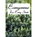 Evergreens For Every State: How to Select and Grow Them Successfully in Your Locality