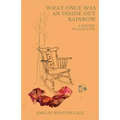 What Once Was An Inside Out Rainbow