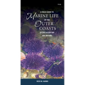 A Field Guide to Marine Life of the Outer Coasts of the Salish Sea and Beyond