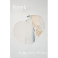 Break: poems on mental illness