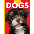 Curious about Dogs