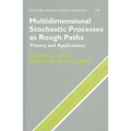 Multidimensional Stochastic Processes as Rough Paths