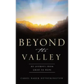 Beyond the Valley