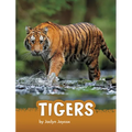 Tigers