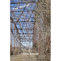 The Bridge