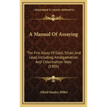 A Manual of Assaying: The Fire Assay of Gold, Silver, and Lead, Including Amalgamation and Chlorination Tests (1905)