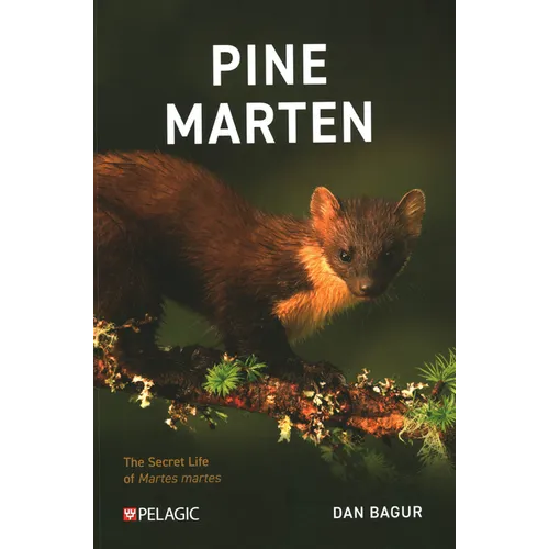Pine Marten: The Secret Life of Martes Martes