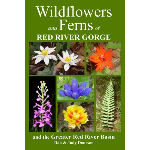 Wildflowers and Ferns of Red River Gorge and the Greater Red River Basin