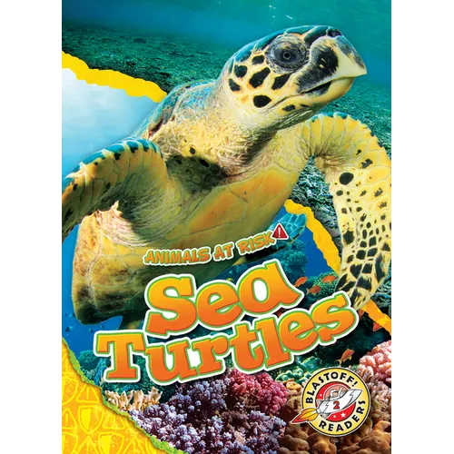 Sea Turtles